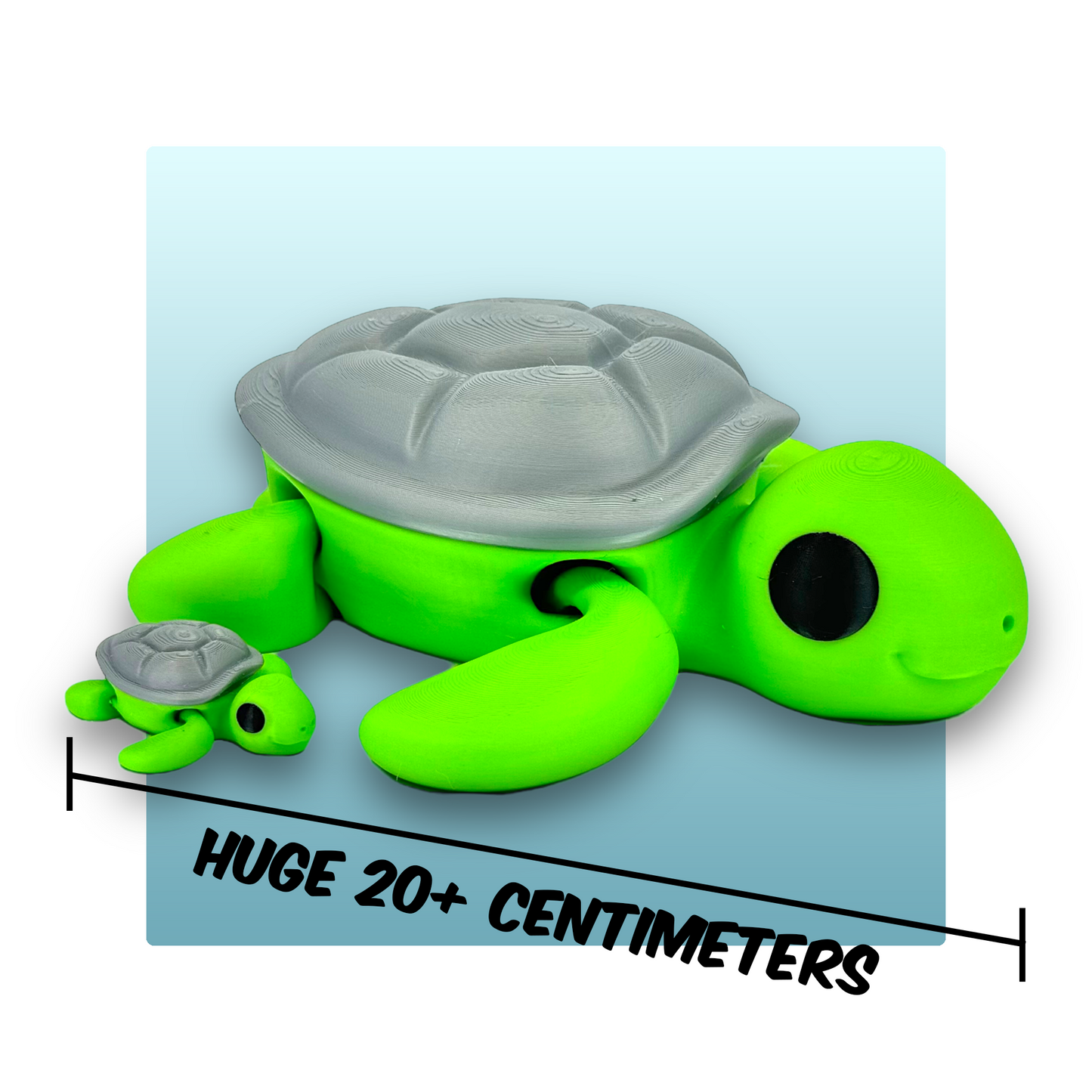 Turtle