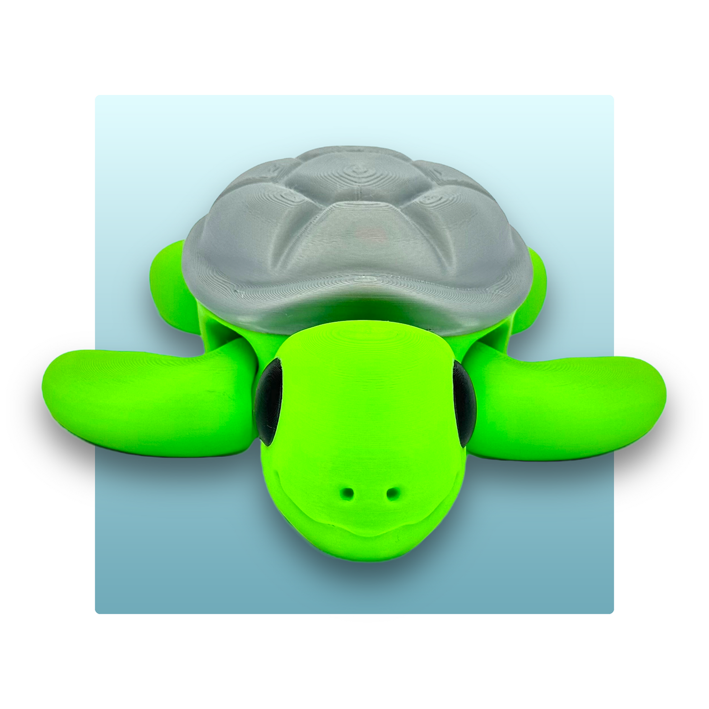 Turtle